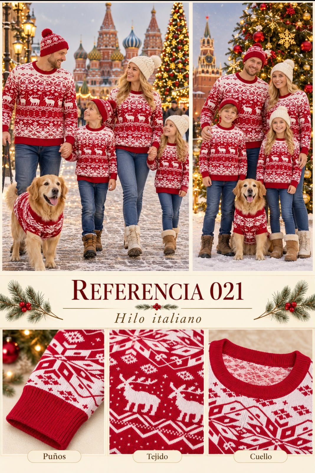 BUSOS NAVIDEÑO