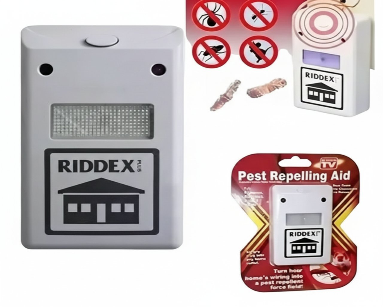 RIDEX